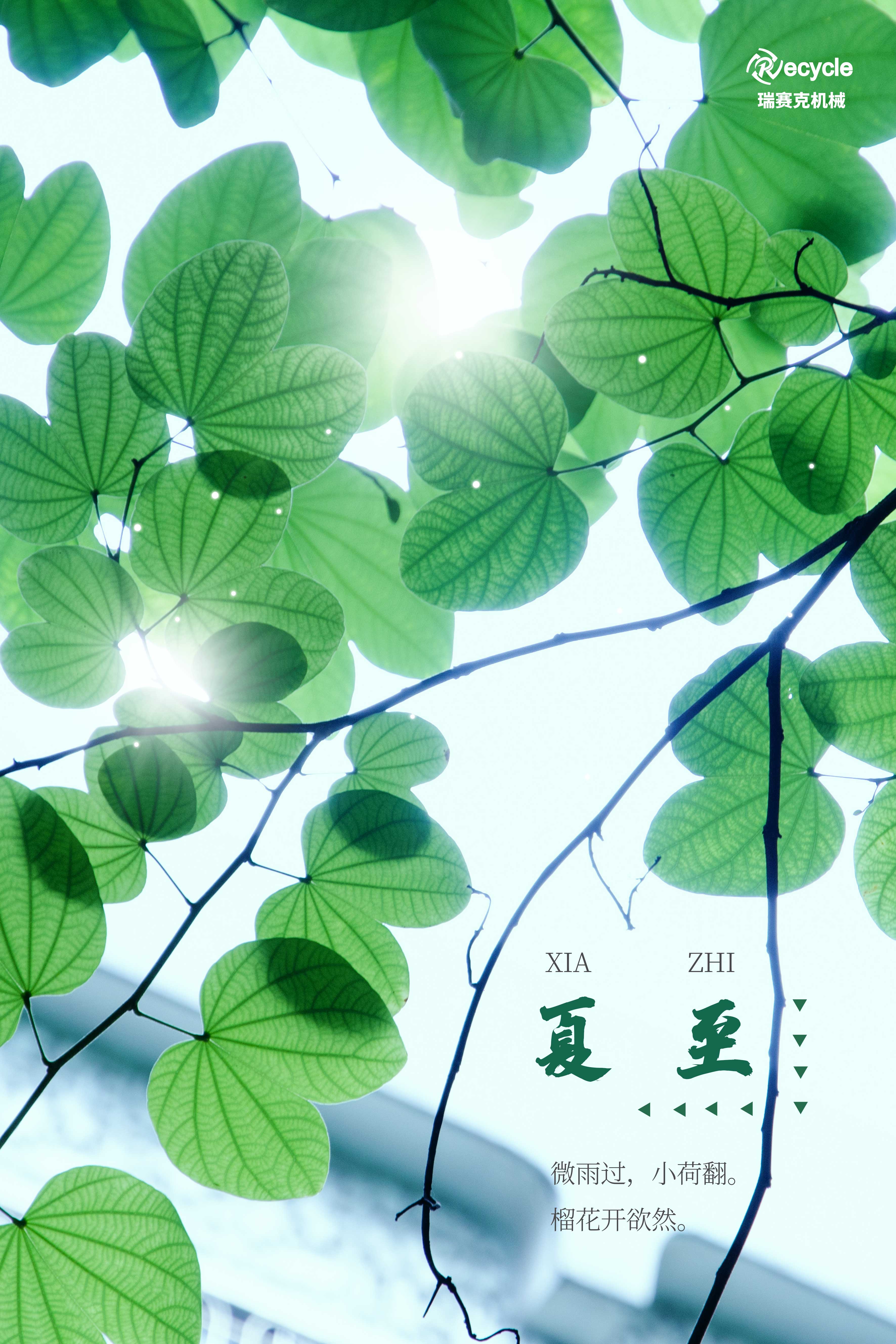 夏至已至，，，，，盛夏已至